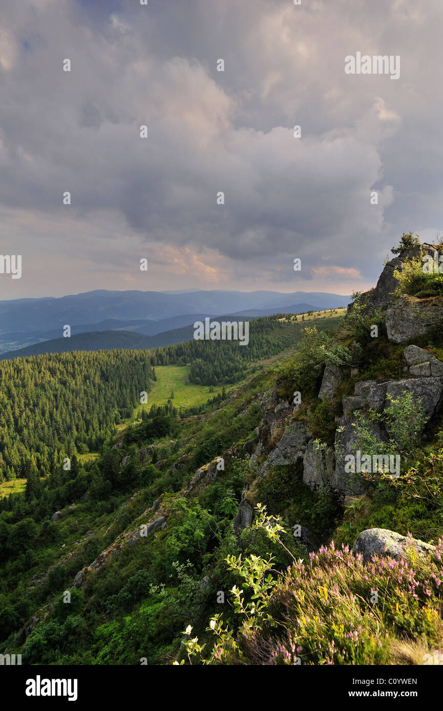 Vue sur les montagnes et les forêts des Vosges, Alsace, France Banque D'Images Vue sur les montagnes et les forêts des Vosges, Alsace, France Banque D'Images