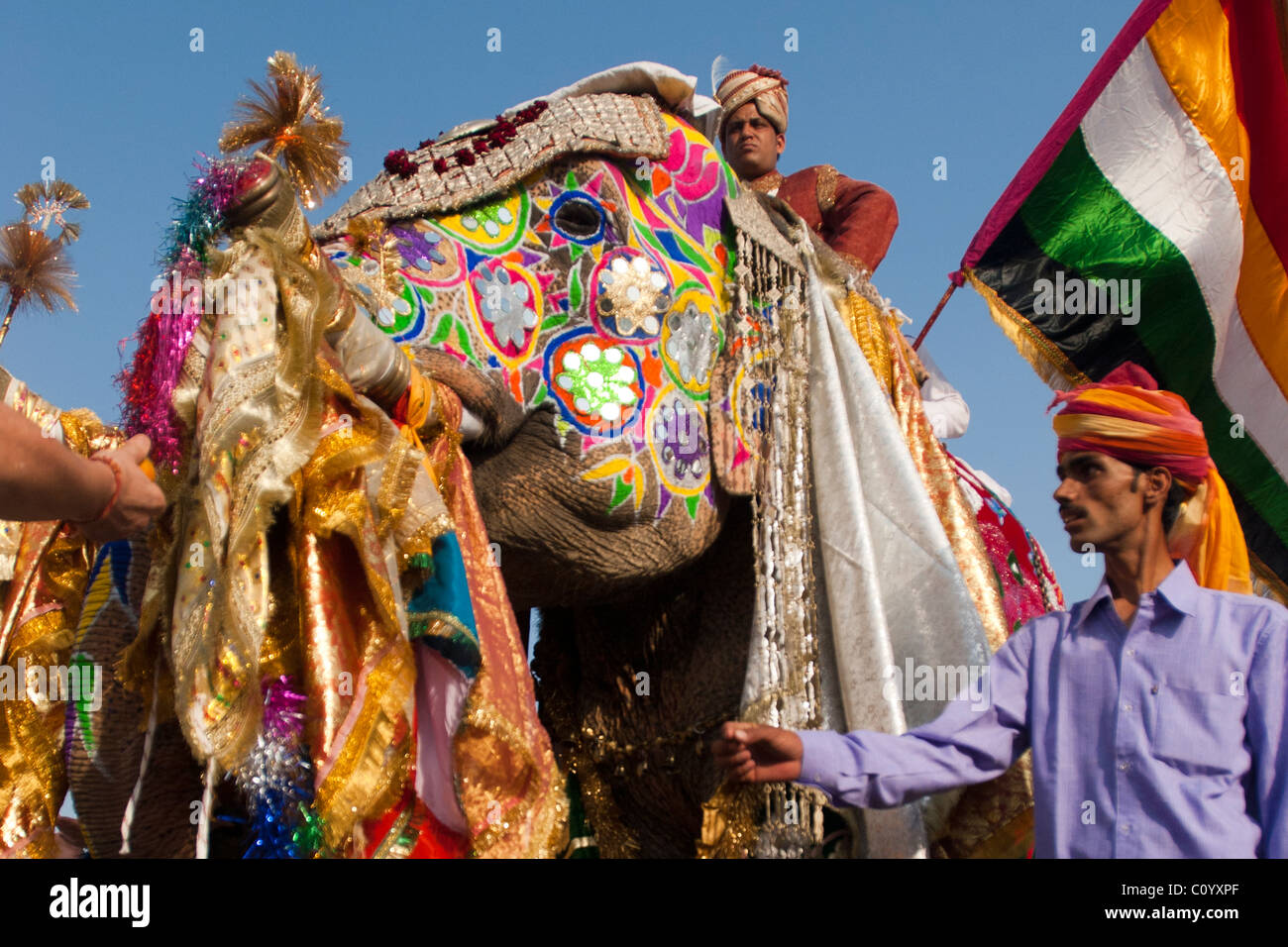 L'homme indien montrant d'un magnifiquement peint et décoré l'éléphant et tenant un drapeau. Festival de l'éléphant de Jaipur Banque D'Images