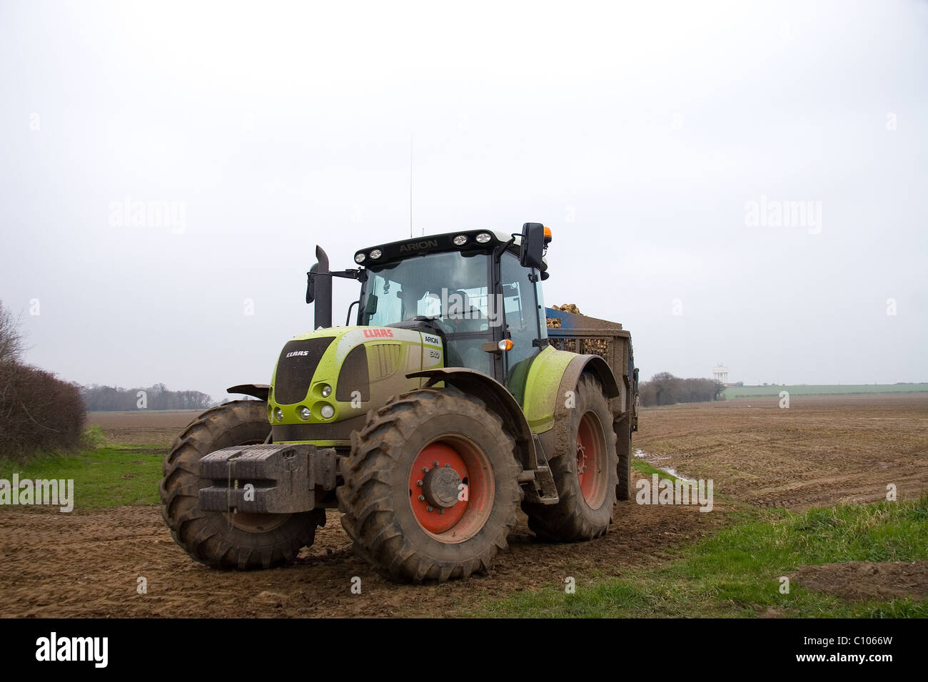 Claas Arion 640 tracteurs et remorques karting betteraves North Norfolk. Banque D'Images