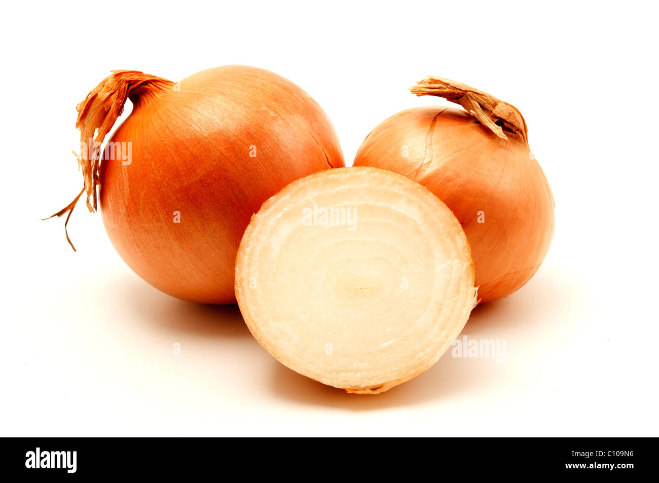 L'oignon (Allium cepa) sur un fond blanc Banque D'Images