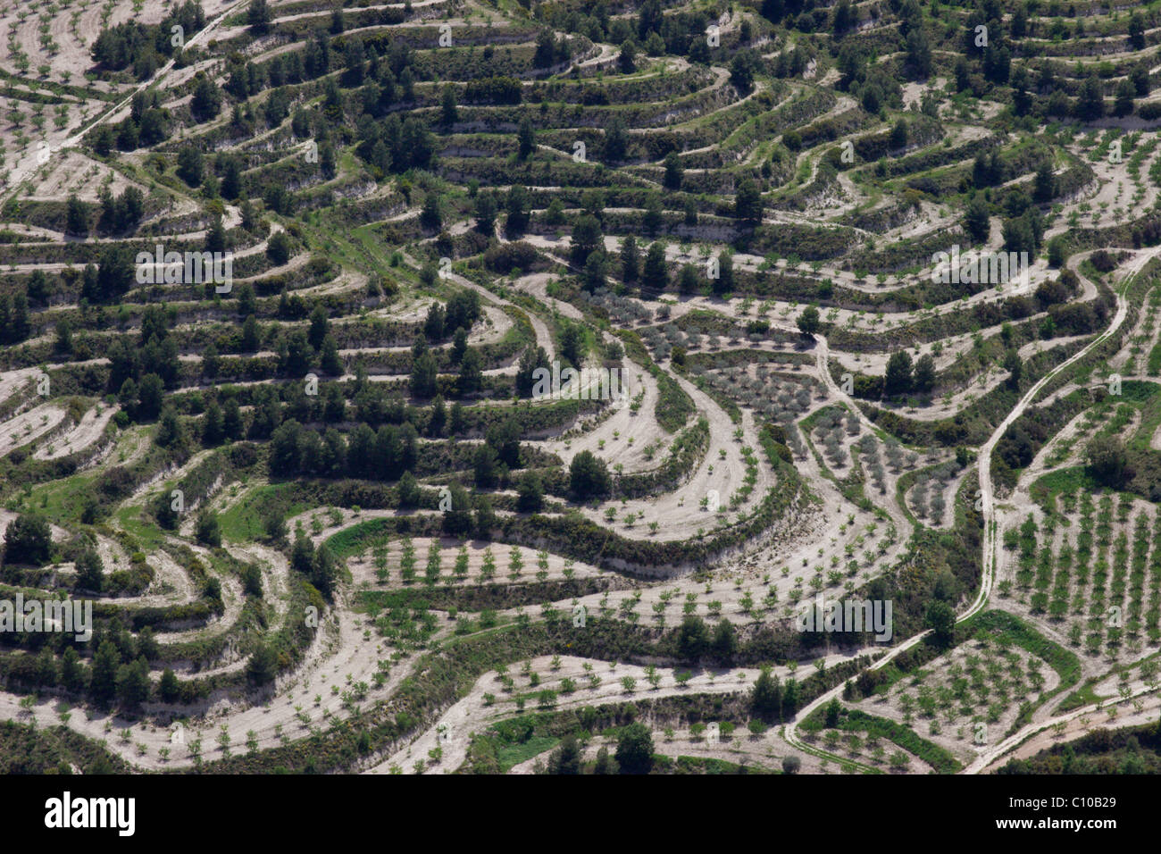 Jardins en terrasse l'Espagne huerto amandes olives verger en terrasses à flanc de collines oranges Banque D'Images