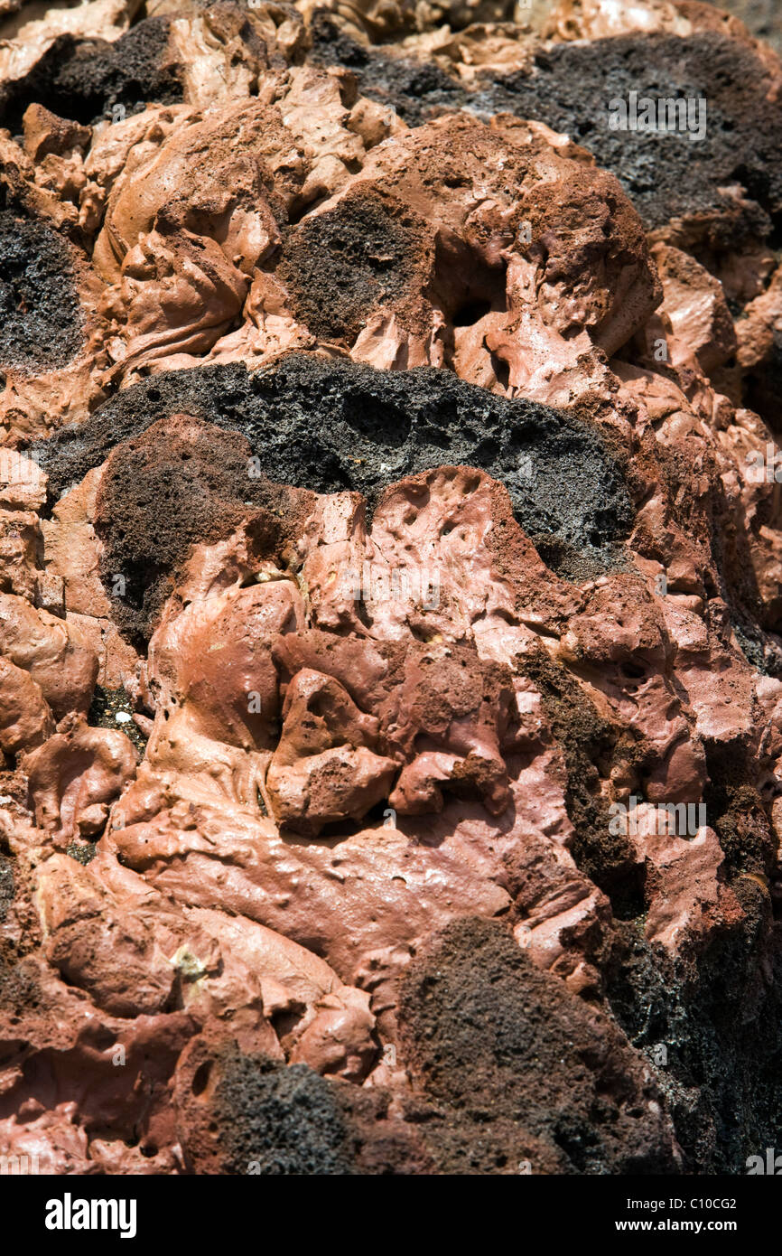 Close-up de roche de lave - Bartolome Island - Iles Galapagos, Equateur Banque D'Images