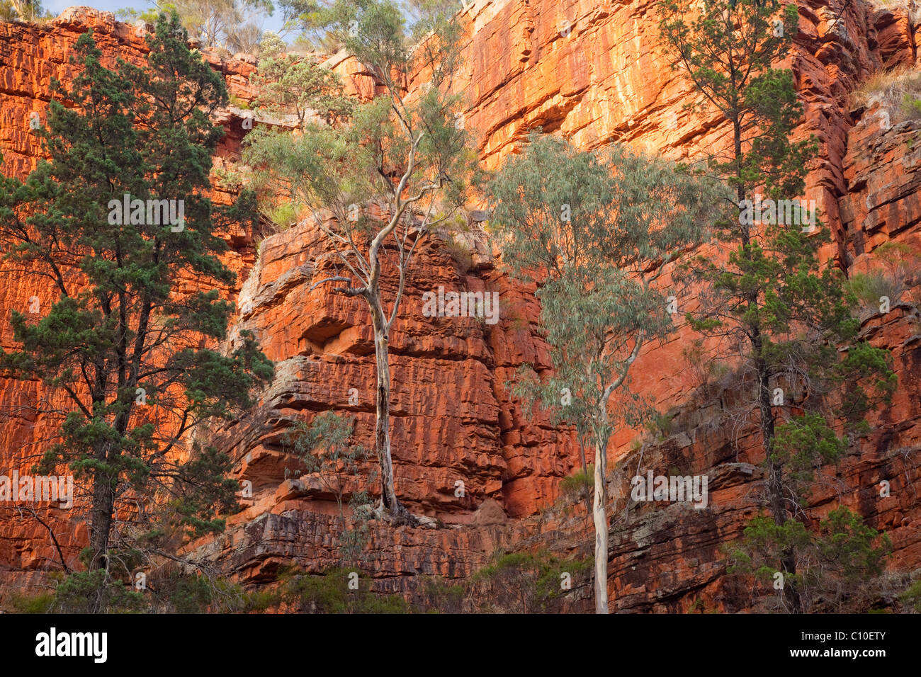 Gorge d'Alligator, Mont Remarkable National Park, Australie du Sud, Australie Banque D'Images