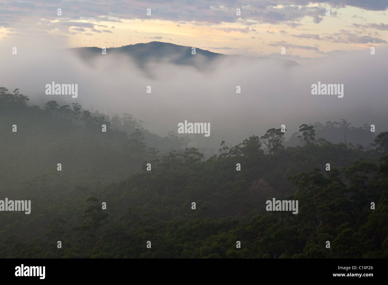 Le brouillard et les collines au lever du soleil, Mont Remarkable National Park, Australie du Sud, Australie Banque D'Images