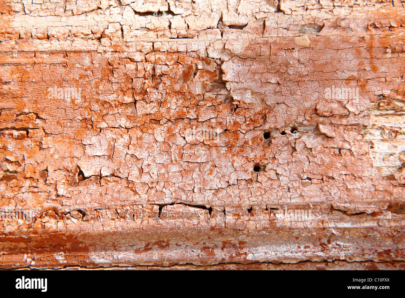 L'écaillage de la peinture orange fond close up Banque D'Images