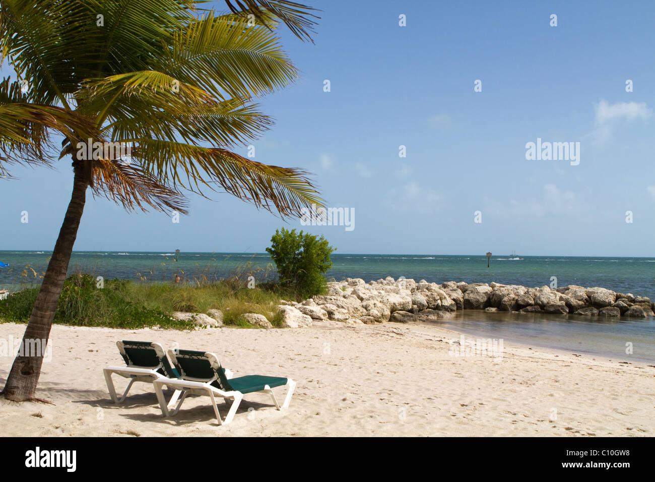 Deux fauteuils vides attrayant assis sous un palmier sur une plage de sable à Key West, Floride. Banque D'Images