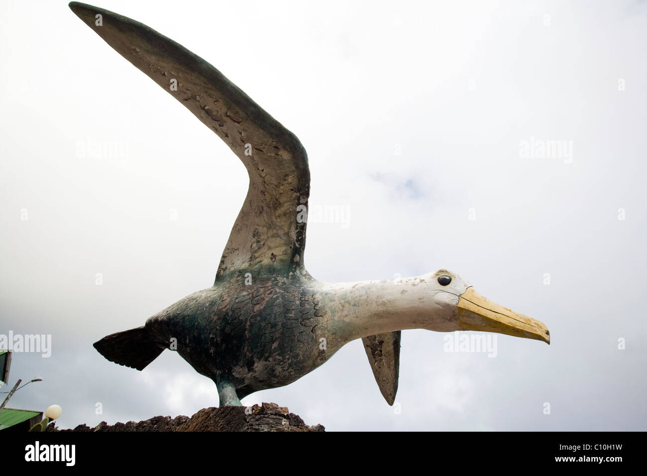 Statue d'albatros avec vue sur port à Puerto Ayora, l'île de Santa Cruz - Îles Galapagos, Equateur Banque D'Images