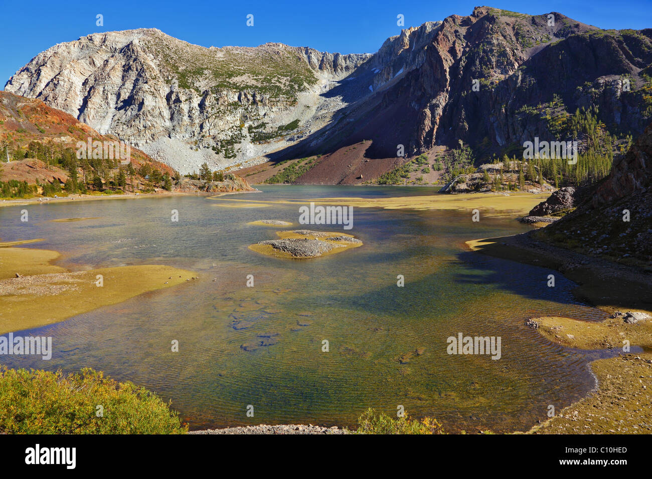 Le pittoresque lac peu profond col Tioga dans Yosemite Park aux Etats-Unis. Midi d'automne Banque D'Images