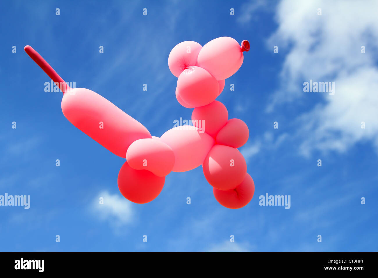 Ballon avec poodle caniche chien volant en forme de ciel bleu journée ensoleillée Banque D'Images