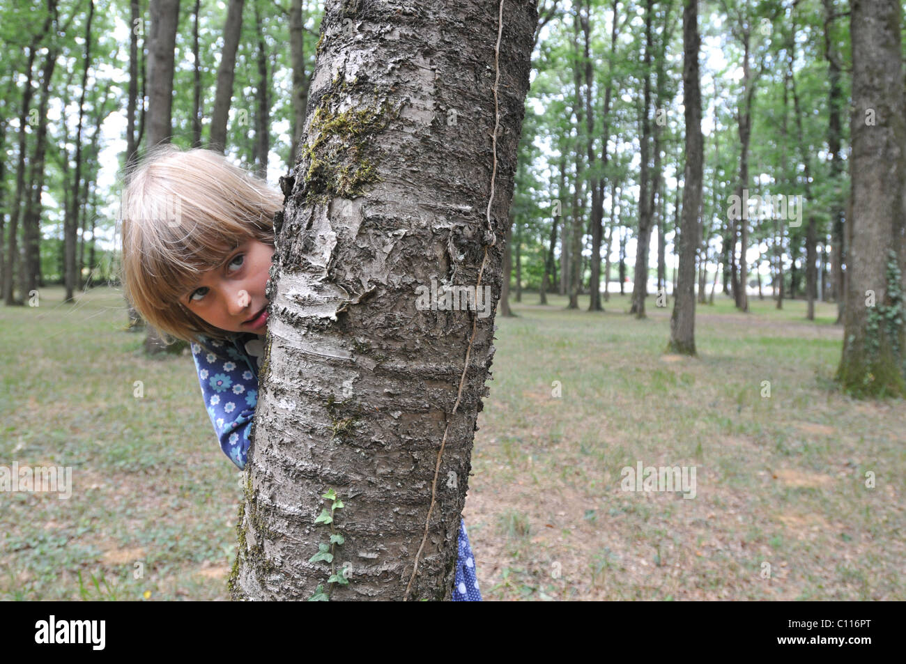 Une fillette de 8 ans se cacher derrière un arbre Banque D'Images