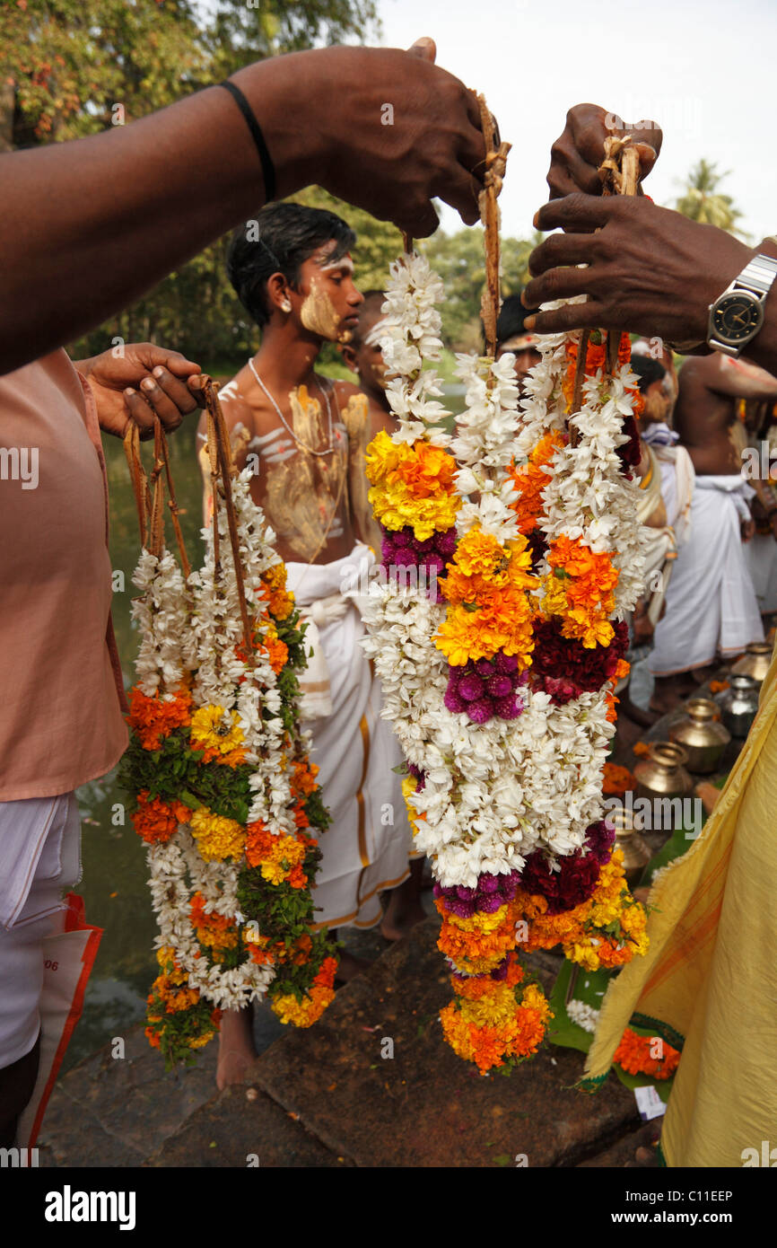 Des guirlandes de fleurs, Thaipusam festival à Mumbai, Chennai, Tamil Nadu, Inde du Sud, Inde, Asie Banque D'Images
