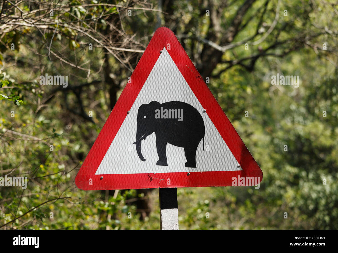 Signe de la circulation, la prudence des éléphants, Tamil Nadu, Tamilnadu, Inde du Sud, Inde, Asie du Sud, Asie Banque D'Images