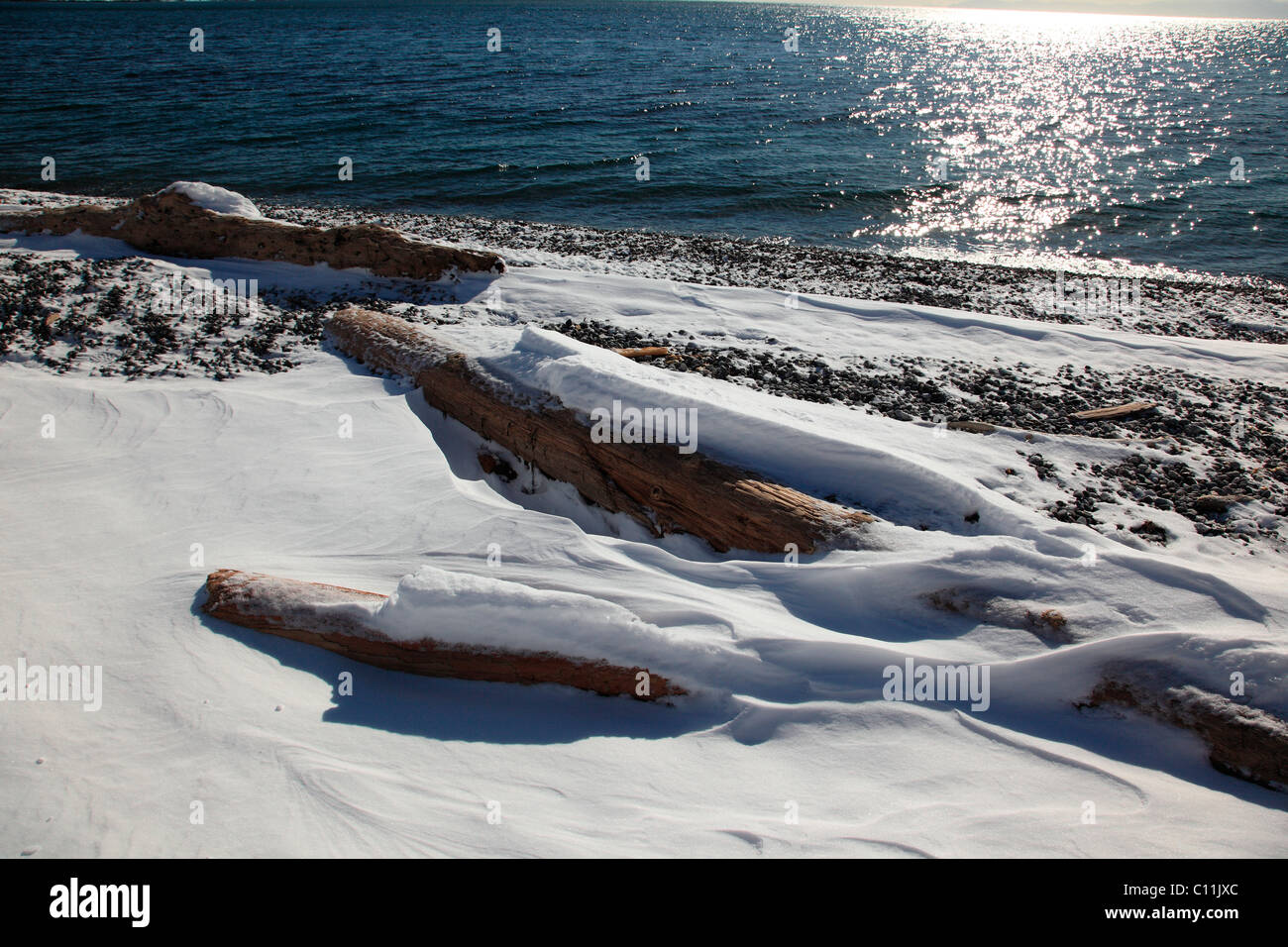 Neige sur du bois flotté sur la plage Banque D'Images