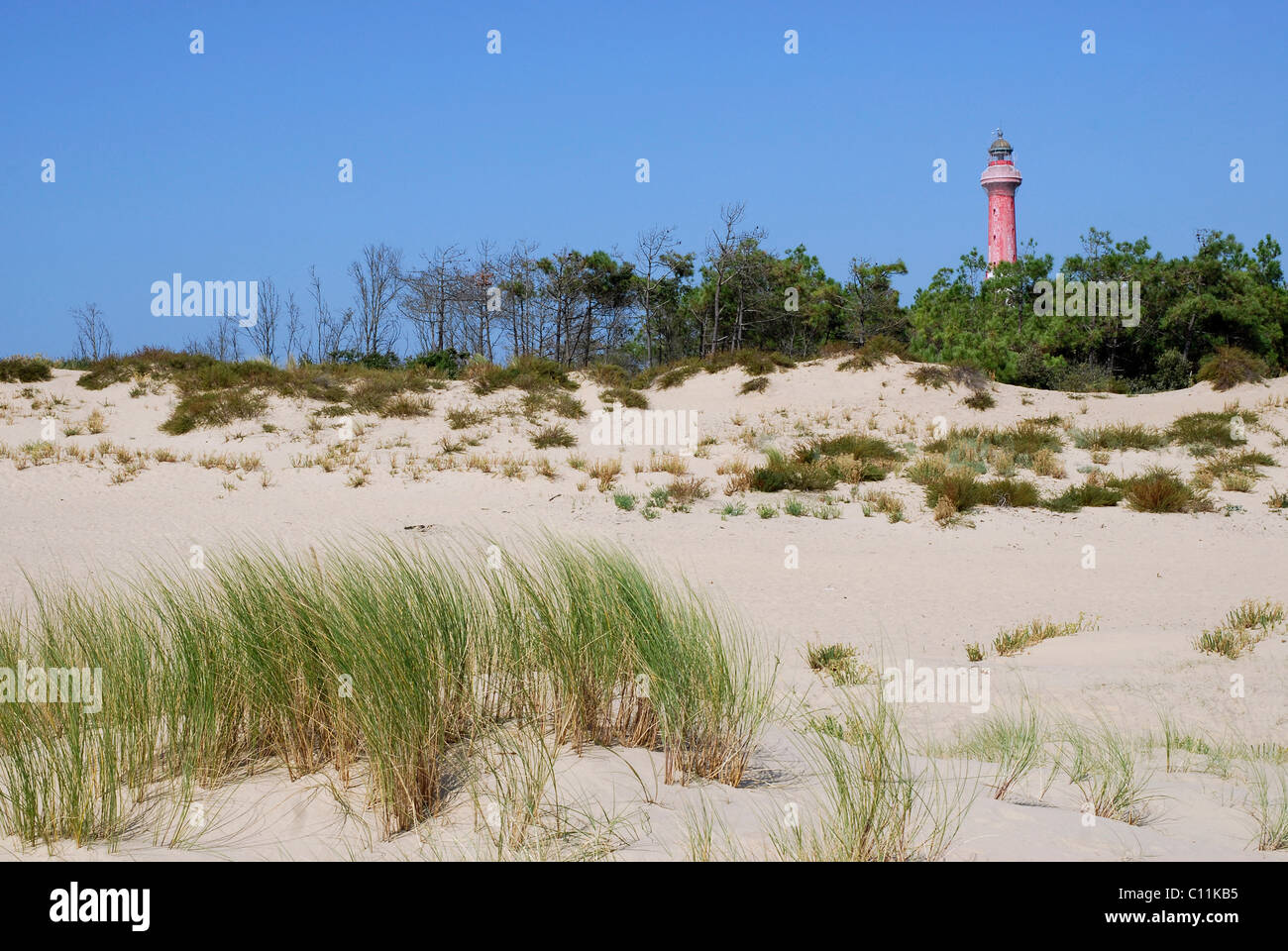 Le phare sur la côte de la Coubre en France parmi les dunes,région Charentes-Poitou Banque D'Images