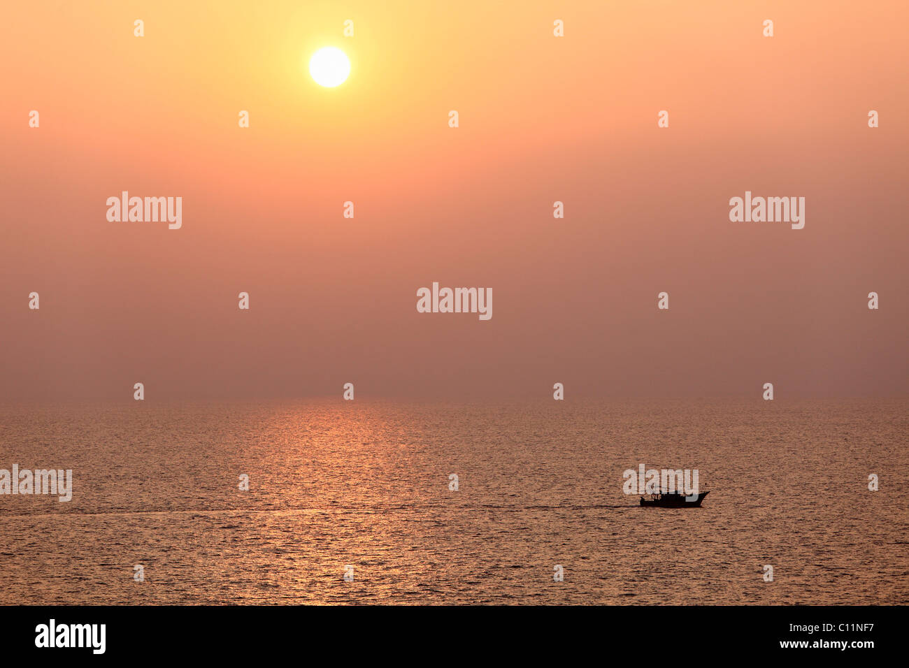 Voile sur la mer, coucher de soleil, Kovalam, Kerala, Inde du Sud, Inde, Asie Banque D'Images