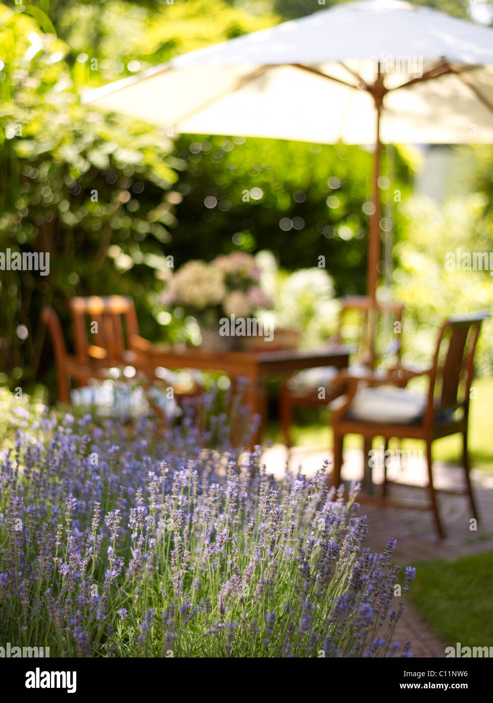 Table de jardin romantique avec des lavandes dans la lumière du soleil dans l'atmosphère Banque D'Images