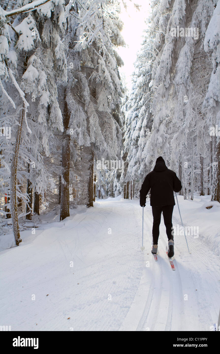 Ski de fond, de style classique, dans la forêt couverte de neige, Gutenbrunn Baernkopf de biathlon et ski center Banque D'Images