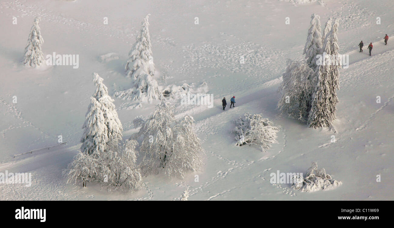 Vue aérienne, Mt. Kahler Asten, marcheurs, neige, hiver, Winterberg, Nordrhein-Westfalen, Germany, Europe Banque D'Images