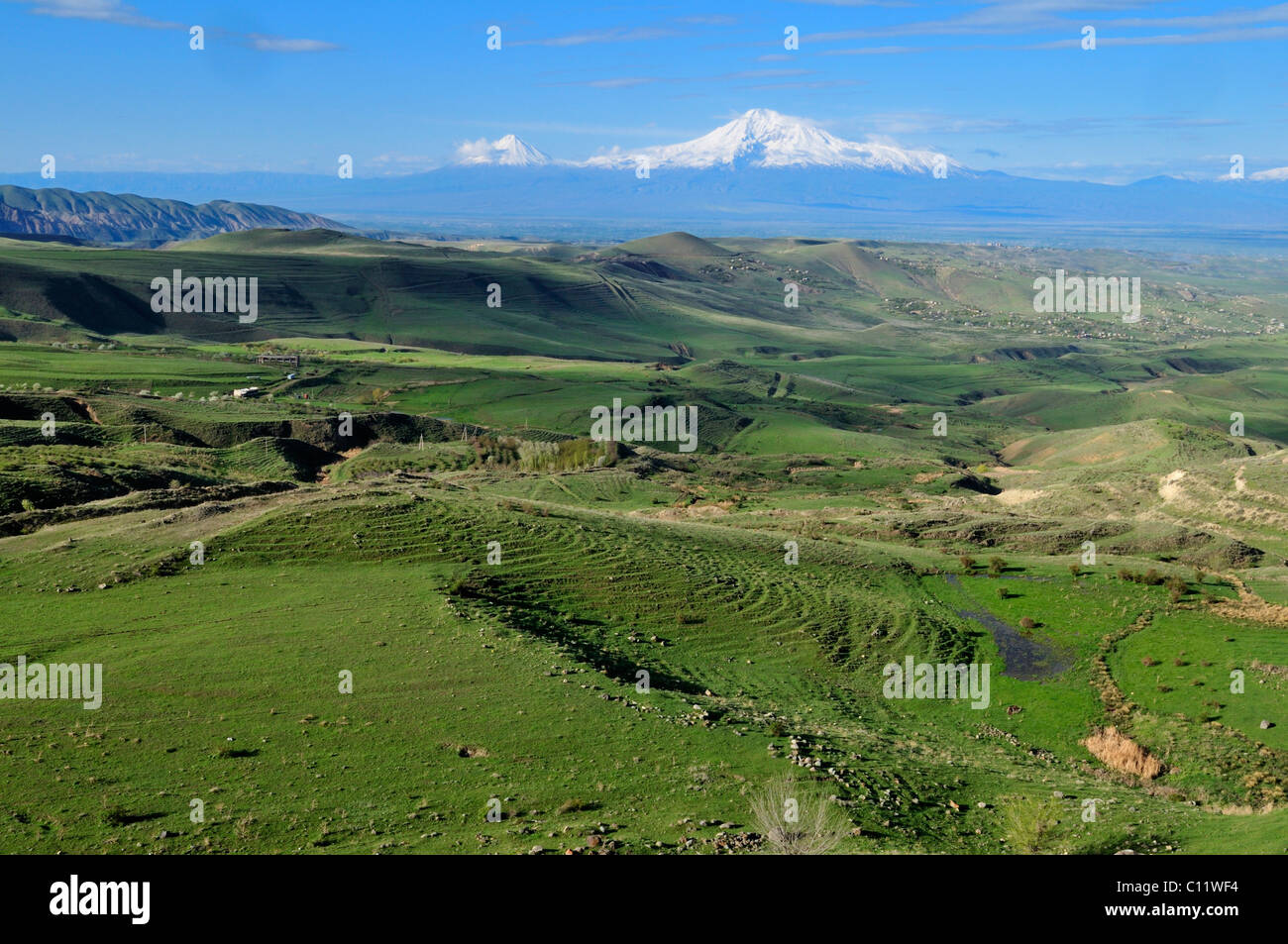 Vue sur la plaine Araratian vers le mont Ararat, en Arménie, en Asie Banque D'Images