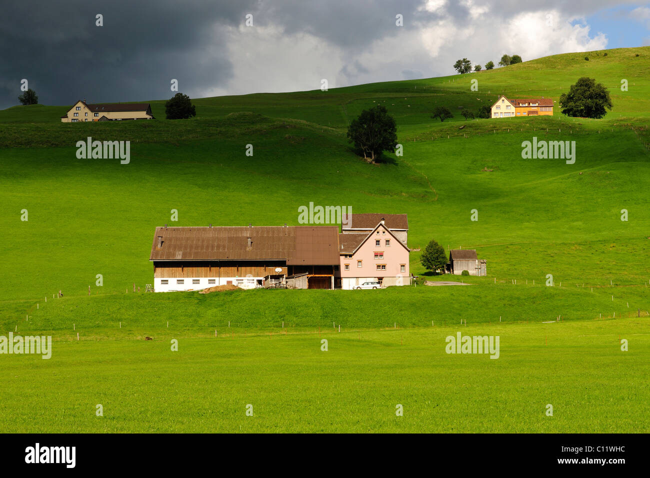 Fermes au milieu de verts pâturages, canton de Zürich, Suisse, Europe Banque D'Images