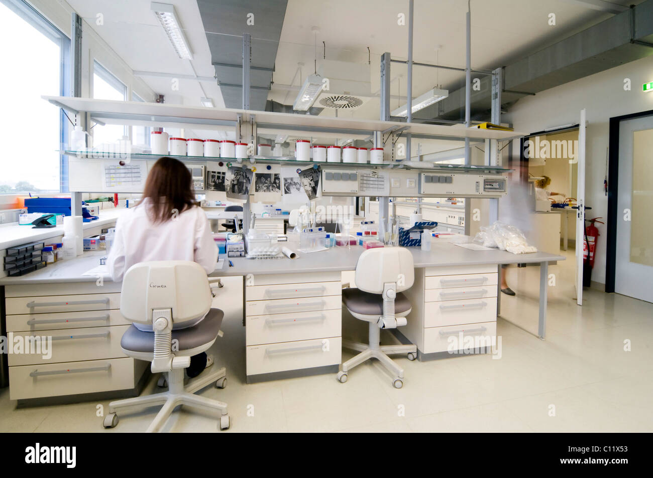 Scène de laboratoire, laboratoire d'analyse génétique Banque D'Images