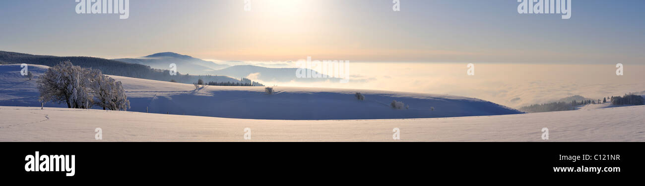 Vue panoramique de la montagne Schauinsland sur la vallée couverte de brouillard Muenster, sur l'horizon, Belchen Mountain, 1414 m, Banque D'Images