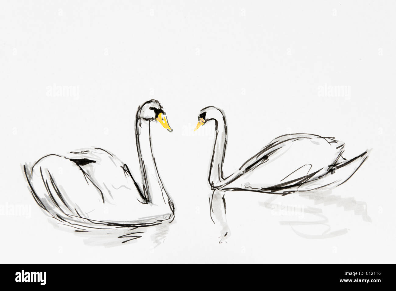 Deux cygnes, dessin par artist Gerhard Kraus, Kriftel Banque D'Images