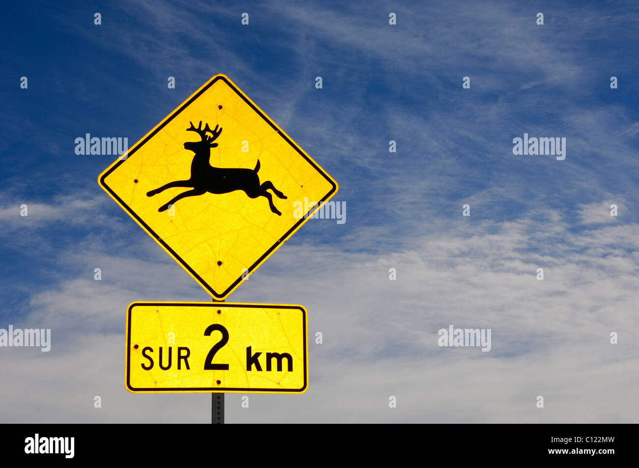 Panneau de circulation, méfiez-vous de l'orignal, en français, au Québec, Canada Banque D'Images