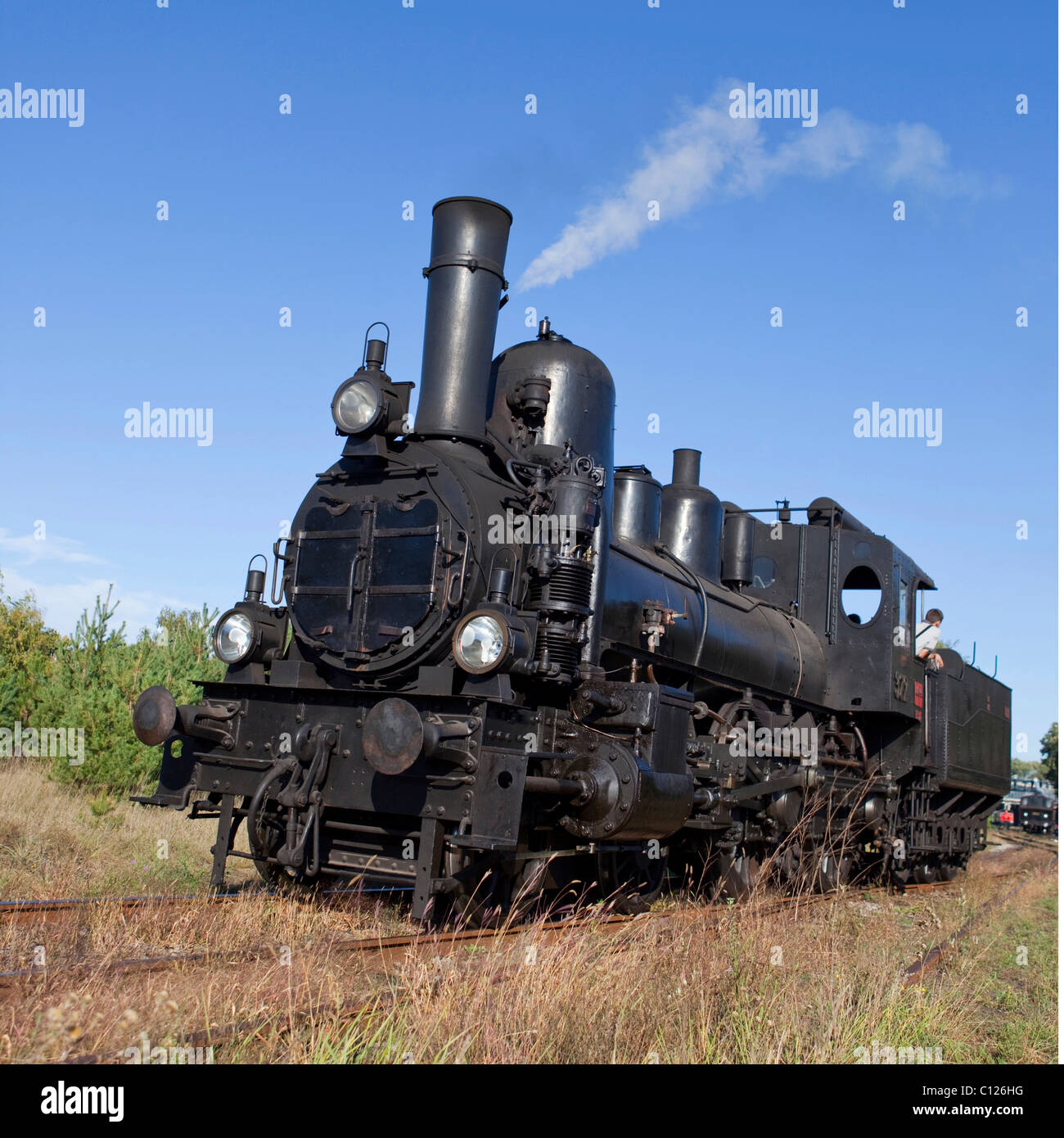 17c372, la plus ancienne locomotive à vapeur express train en Autriche, construit en 1891 dans l'usine de locomotive Floridsdorf, vitesse maximale Banque D'Images
