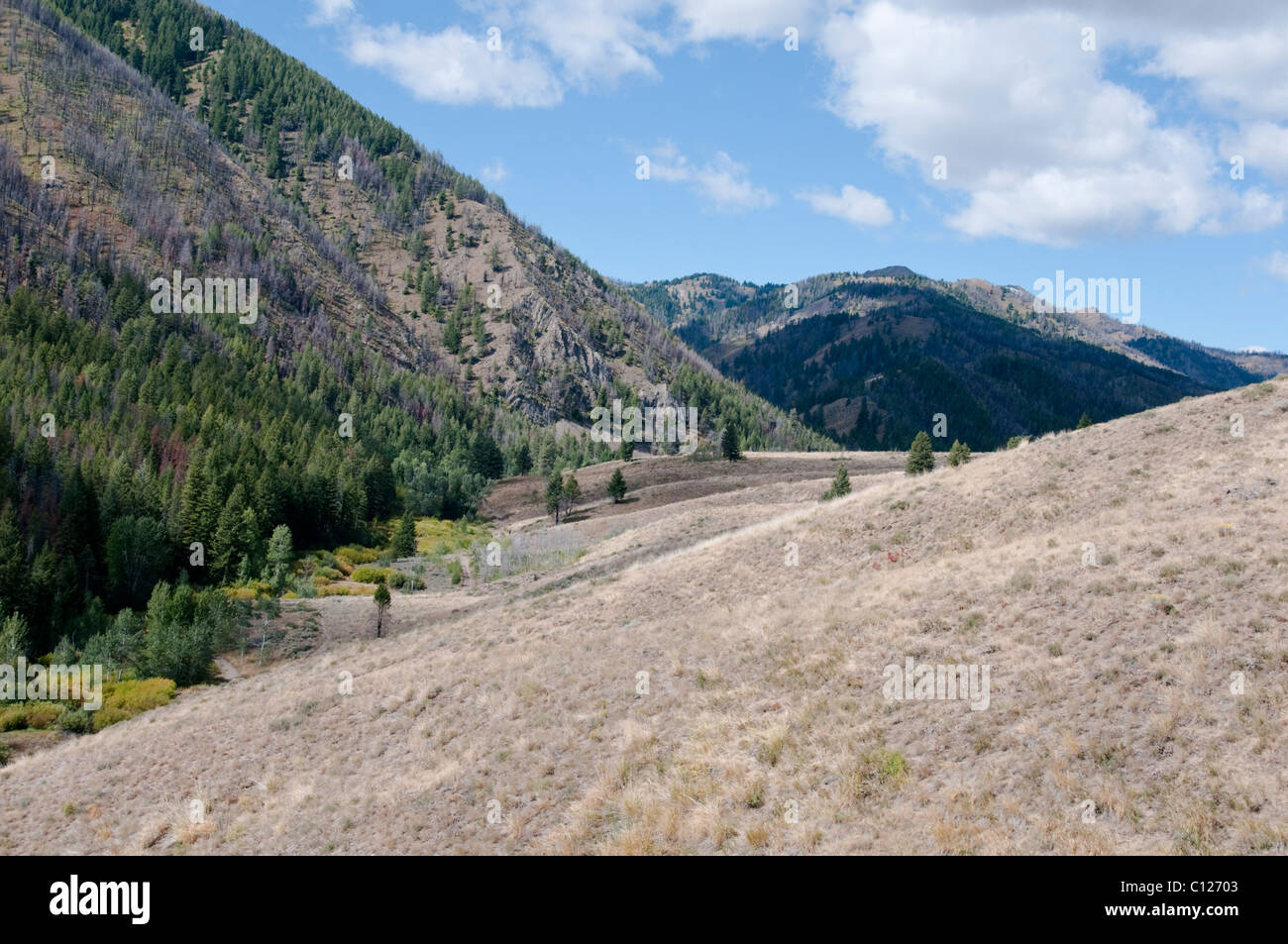 Boucle à pied Adam Gulch, Sun Valley,la célèbre station de ski,Accueil