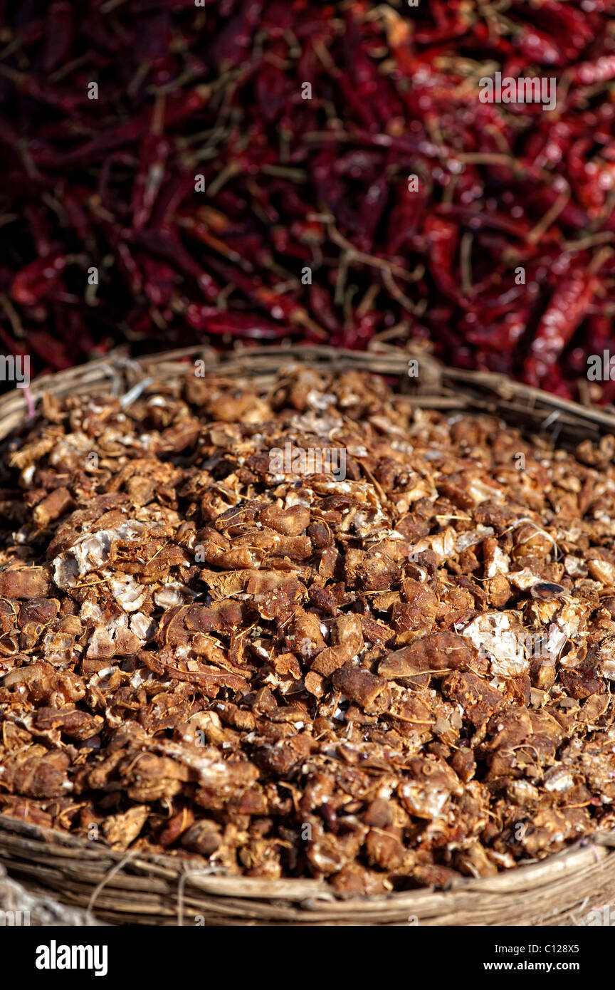 Les gousses de tamarin (Tamarindus indica) et de piment rouge séché à la vente à un marché indien. L'Andhra Pradseh, Inde Banque D'Images