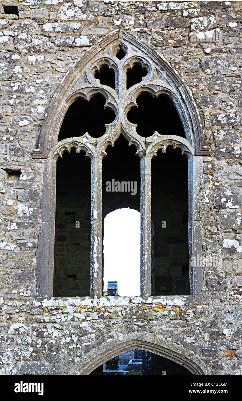 Abbaye de Slane fenêtre Co. Meath Irlande Banque D'Images