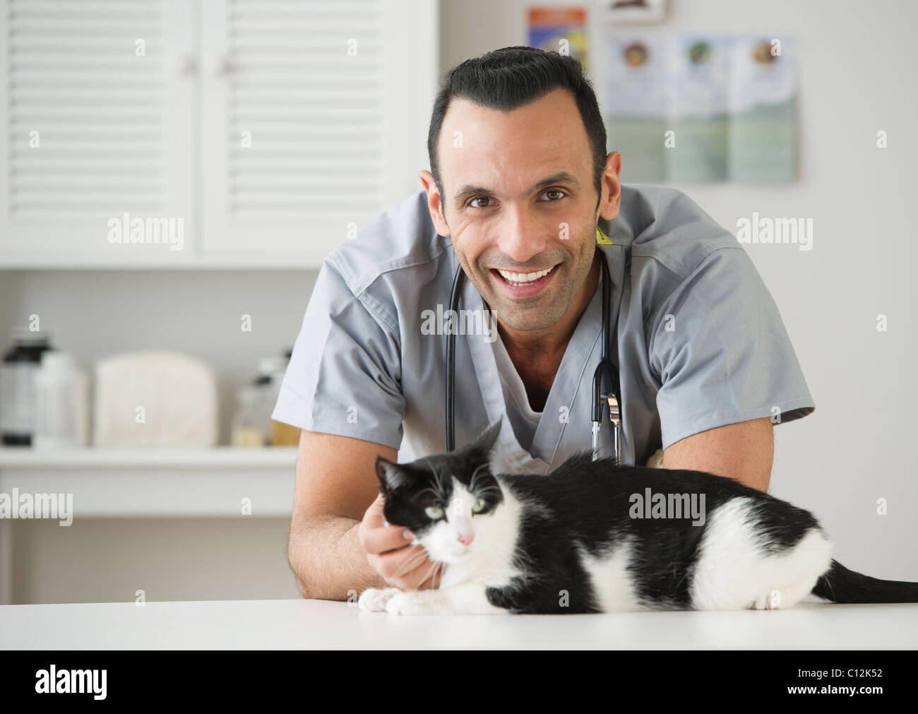 USA, New Jersey, Jersey City, vet stroking cat en clinique pour animaux Banque D'Images