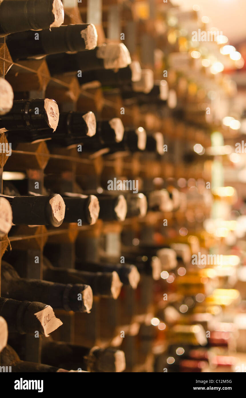 Royaume-uni, Bristol, vieux vin bouteilles sur les étagères de la cave Banque D'Images