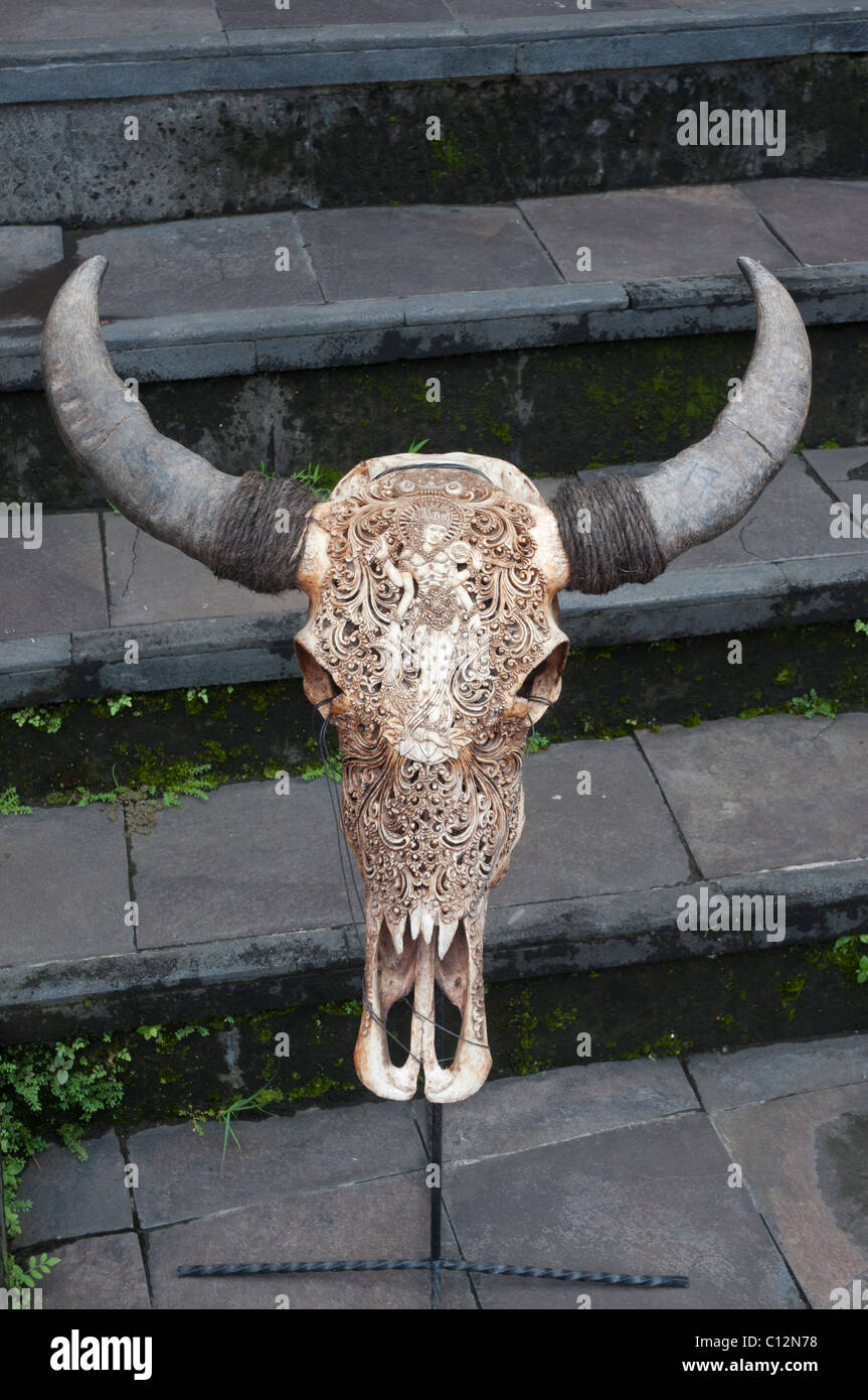 Crâne de buffle délicatement sculptés à l'extérieur d'une galerie à Ubud, Bali, Indonésie Banque D'Images