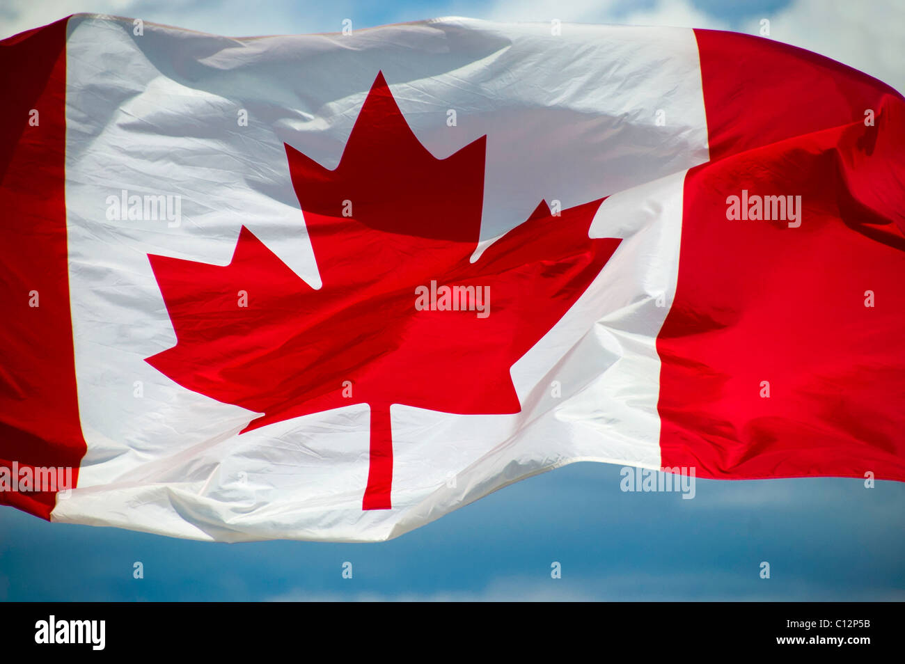 Close up of blowing drapeau canadien. Banque D'Images