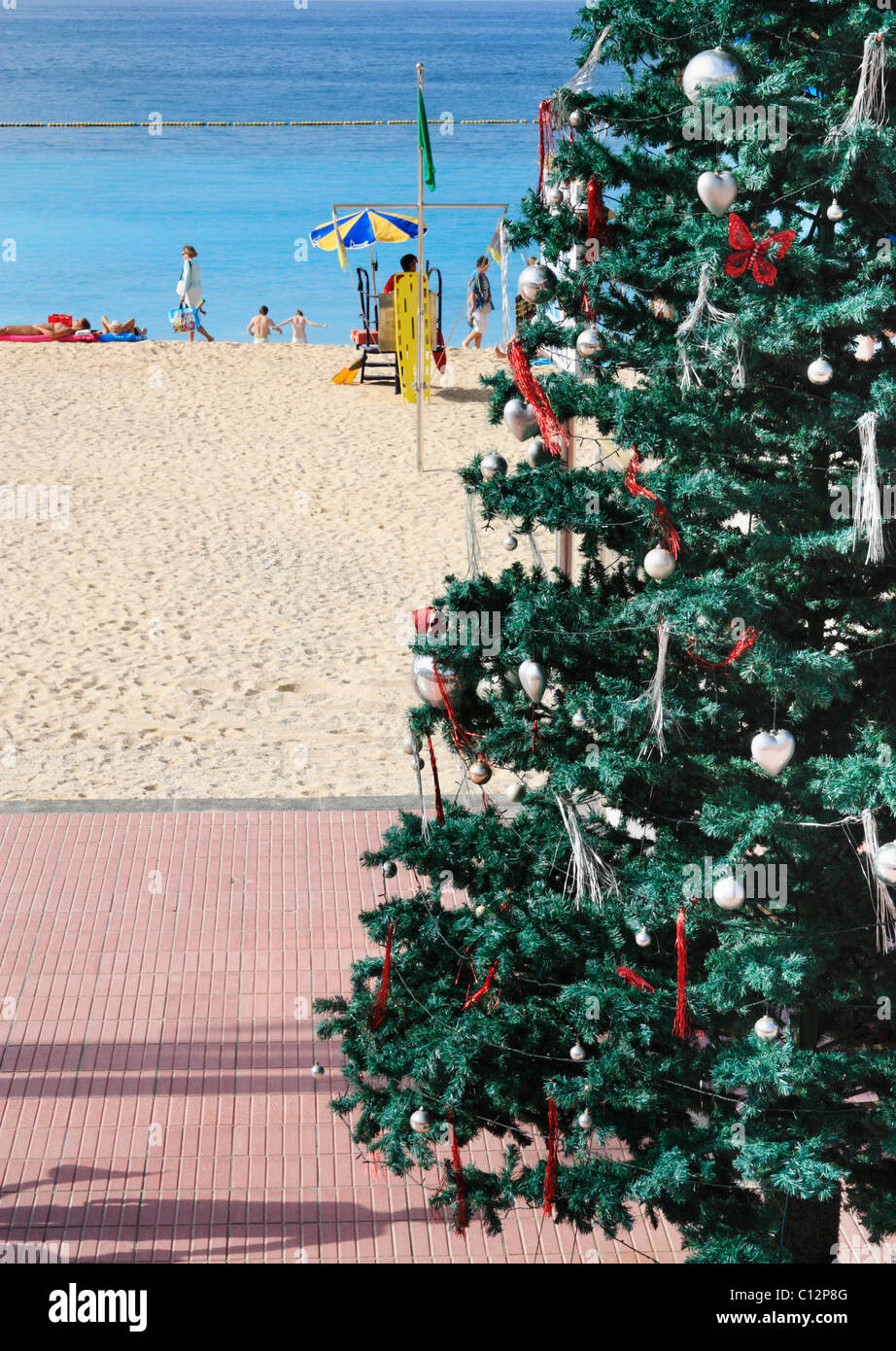 Arbre de Noël sur la plage en Espagne Banque D'Images