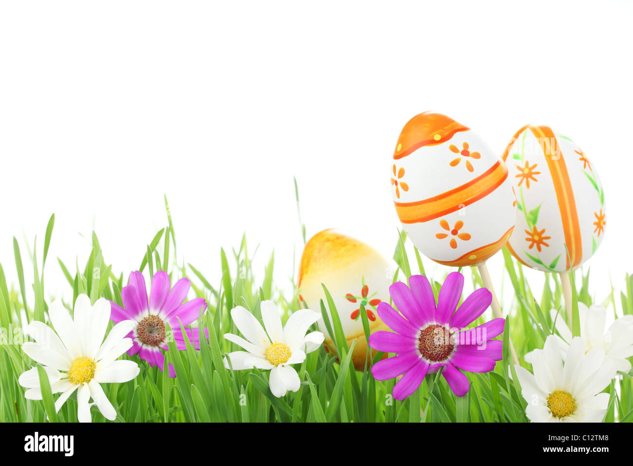 Joli Oeuf de Pâques avec Daisy sur l'herbe verte fraîche. Banque D'Images