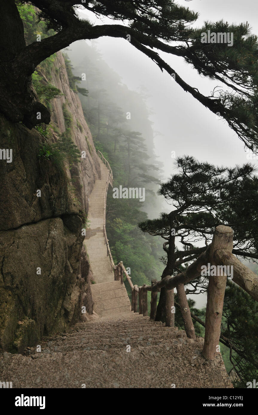 Escalier en mer de l'Ouest du Canyon Huangshan Montagnes en chinois Anhui Province Banque D'Images