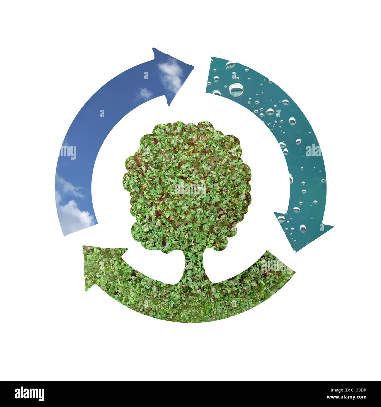 Trois flèches symbole représentant trois éléments naturels - l'air, l'eau et de la terre avec arbre vert Banque D'Images