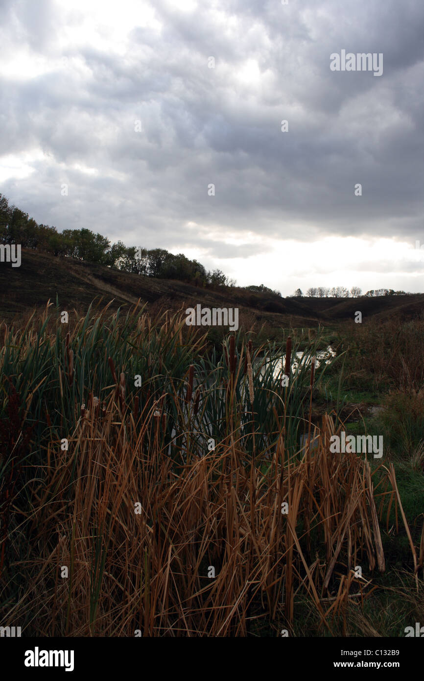 Paysage avec petite rivière Banque D'Images