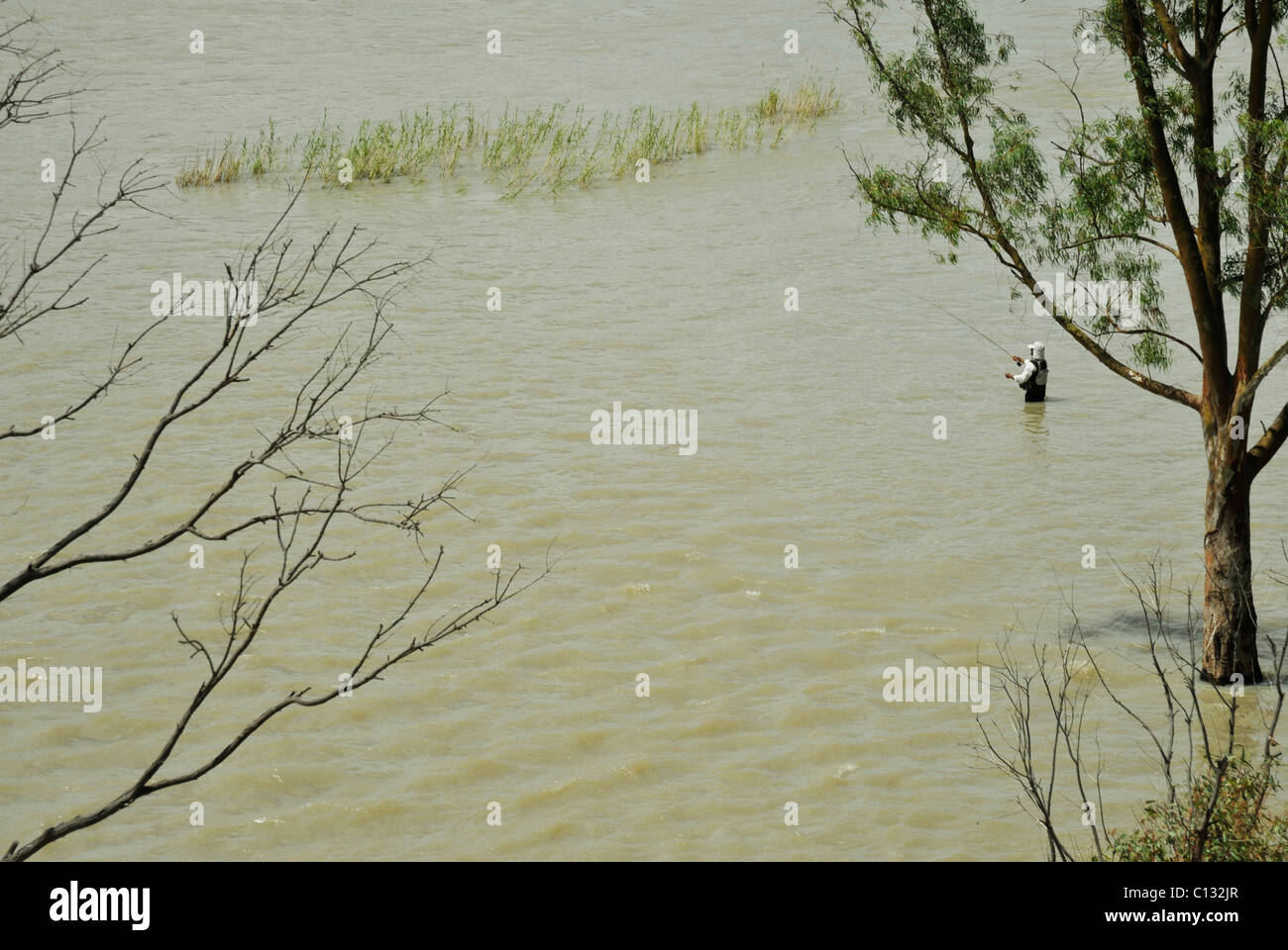 Orange Free State, Afrique du Sud, la pêche à la mouche, des profils homme debout dans l'eau, poisson jaune pêcheur,sport,rivière Vaal, pêcheur, à gué, Banque D'Images