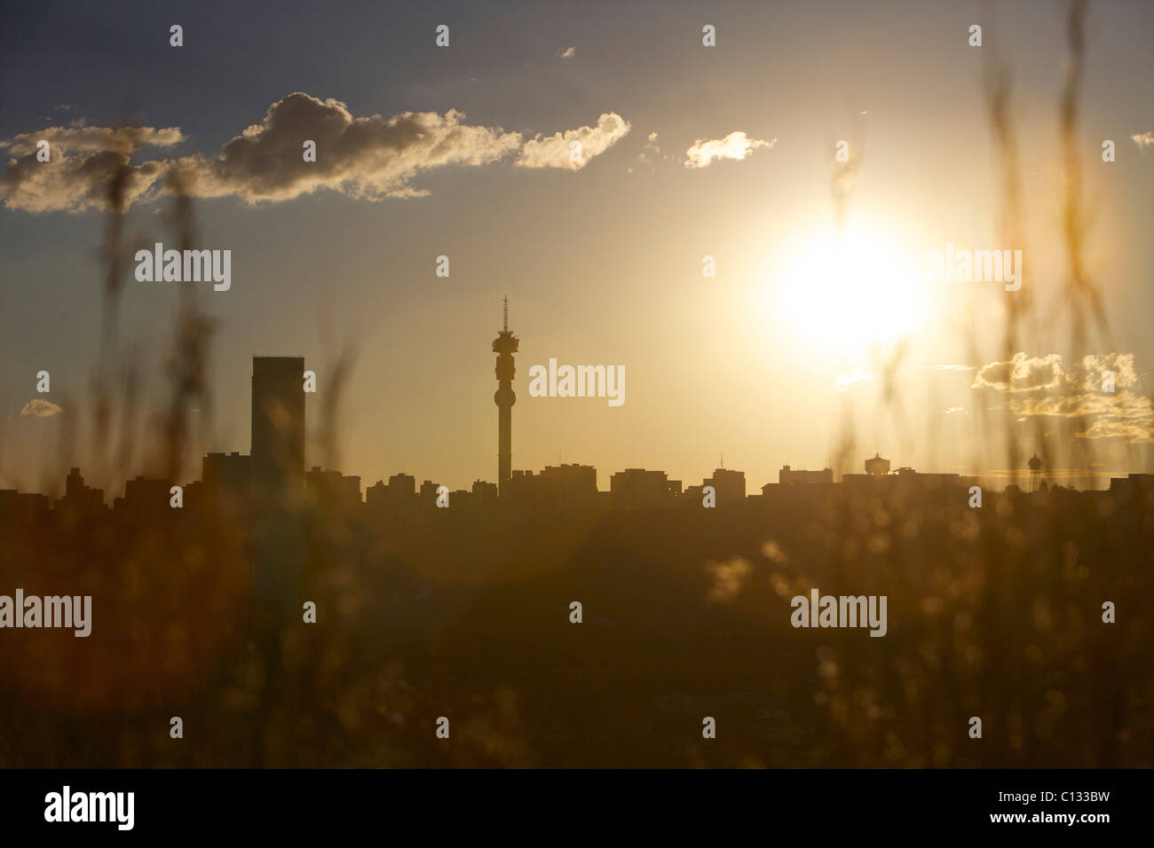 Vue sur les toits de la ville de Johannesburg, la Province de Gauteng, Afrique du Sud Banque D'Images