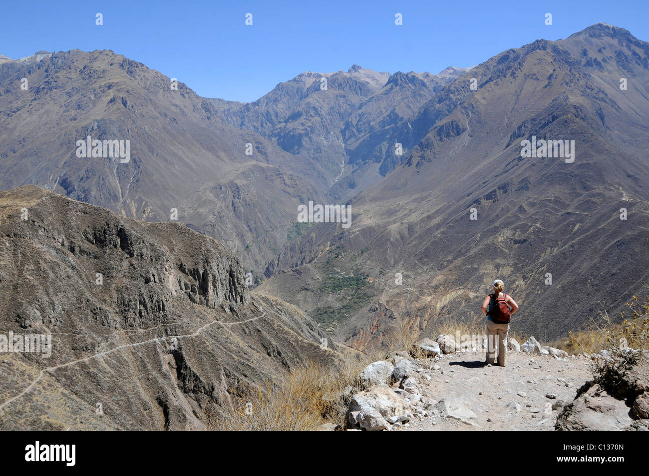 Paysage dans le Canyon de Colca, une destination de randonnée préférés quelques heures d'Arequipa, Pérou. Banque D'Images
