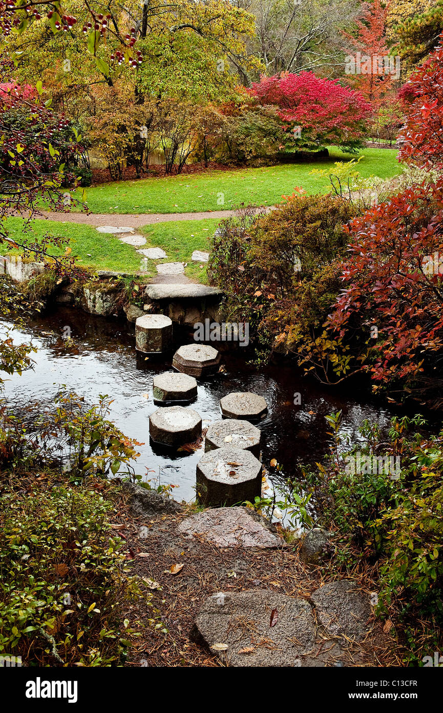 Jardins en automne chemin asticou, northeast harbor, Mount Desert Island, Maine, USA Banque D'Images