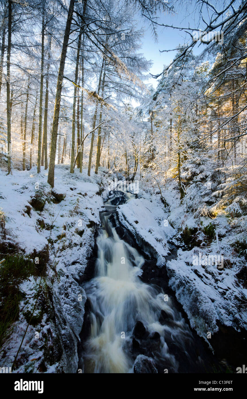 L'Kennick brûler, Laurieston Galloway dans la neige profonde, la foresterie Commision Banque D'Images