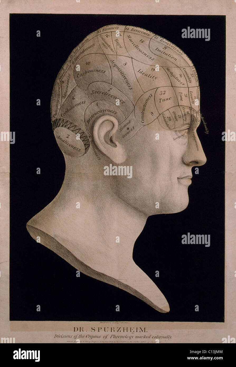 Phrenological chart de la tête montrant l'idée que le cerveau est composé de plusieurs organes, chacun contrôle des caractéristiques spécifiques de la personnalité et de l'intellect qui pourraient être dégagées à partir de caractéristiques physiques du crâne. Tableau par Johann Gaspar Spurzheim (1776-1832), la pseudoscience, plus grand vulgarisateur. Ca. 1834. Banque D'Images
