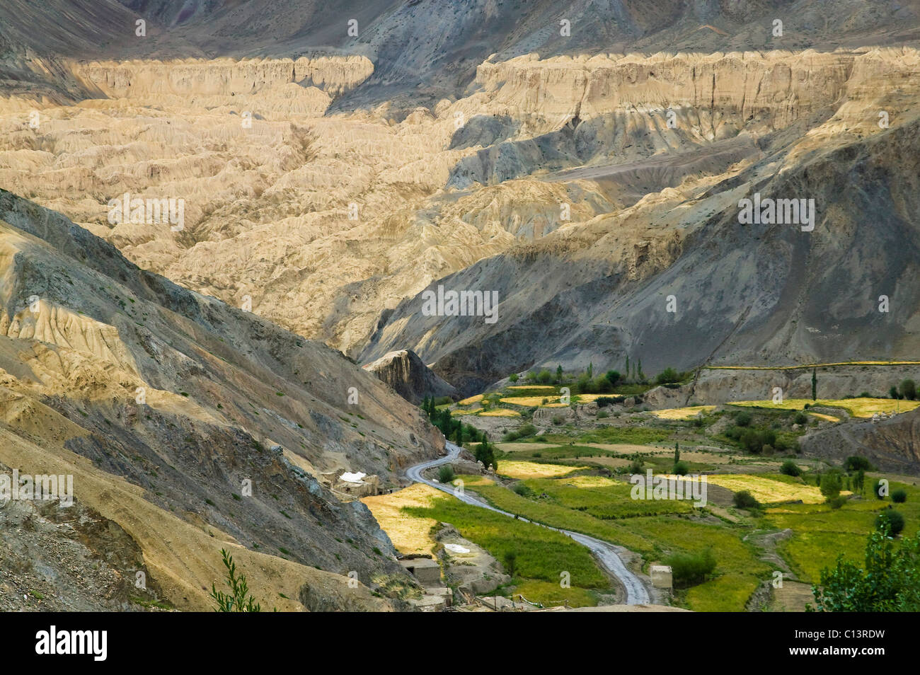 Village et champ d'orge dans l'Himalaya, le Ladakh, Inde Banque D'Images