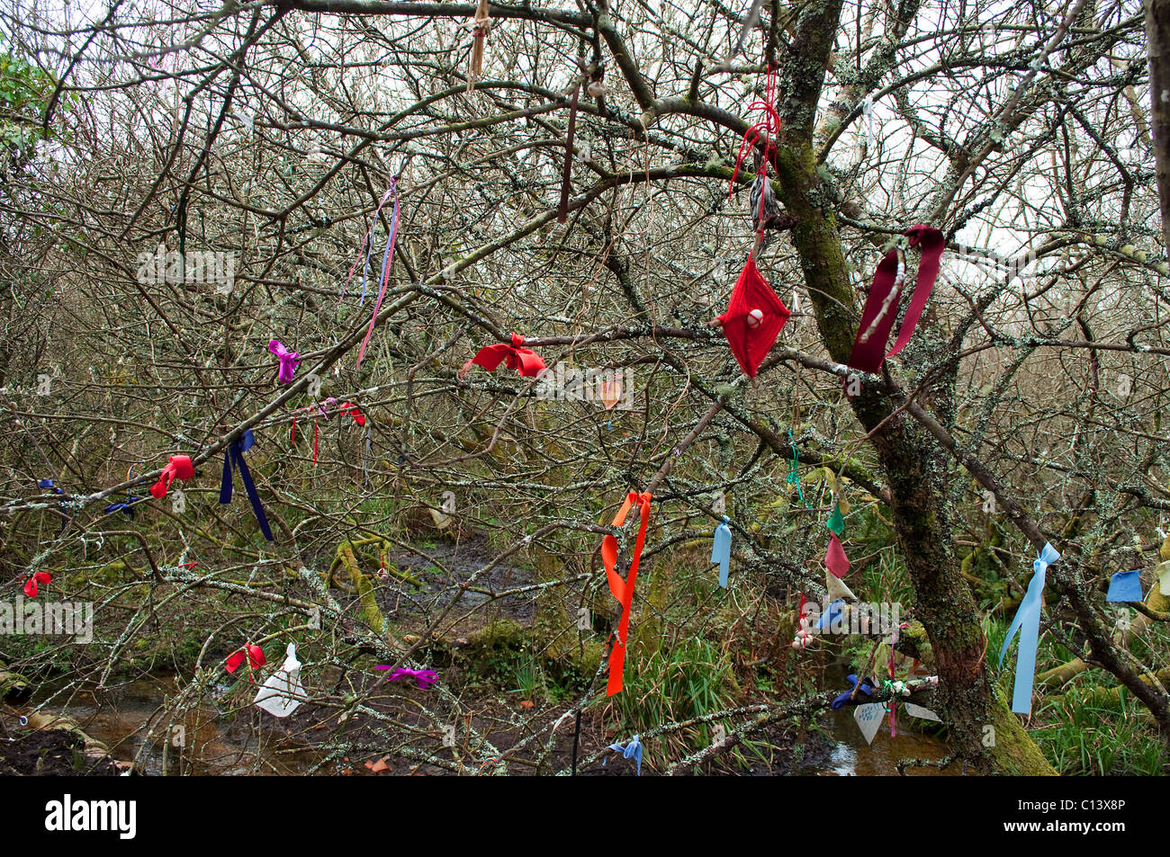 ' ' Clouties bonne chance charms suspendue à un arbre à la puits près de Madron, Cornwall, UK Banque D'Images