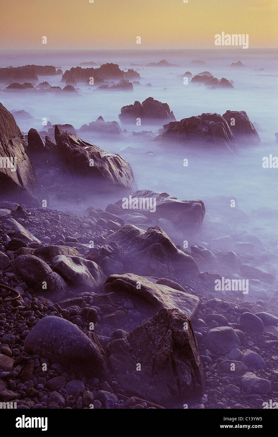 Hugs brouillard le rivage rocheux le long de la plage de galets, en Californie. Banque D'Images